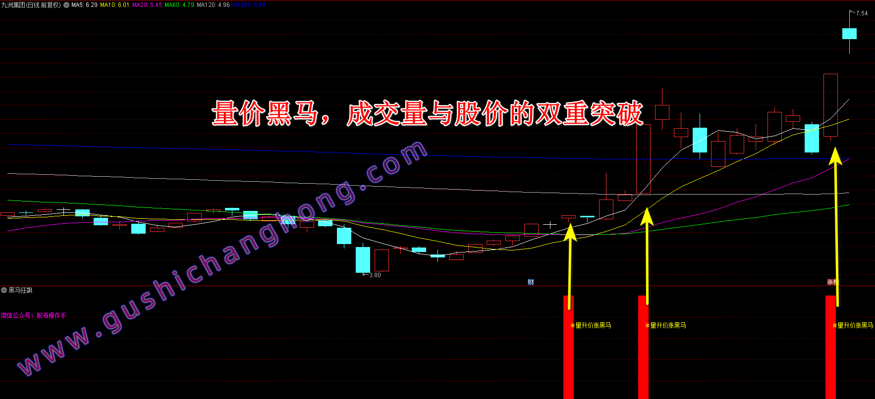 量价黑马