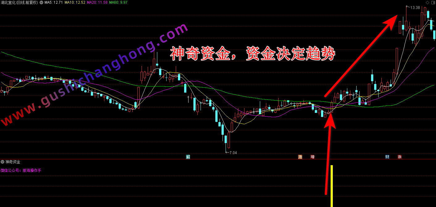 神奇资金指标