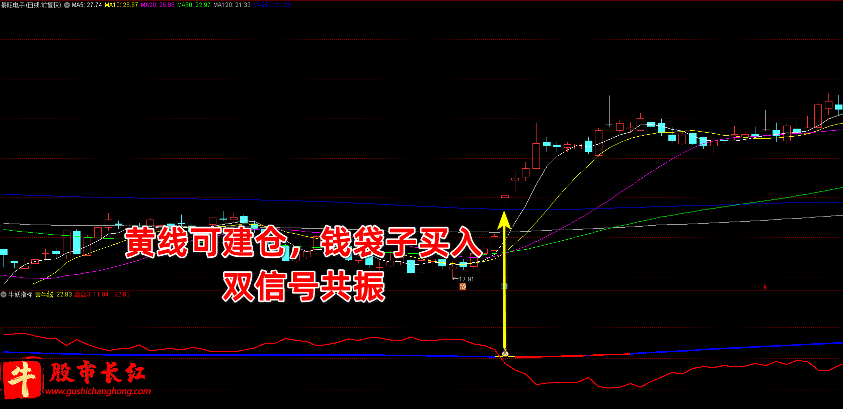 牛妖指标