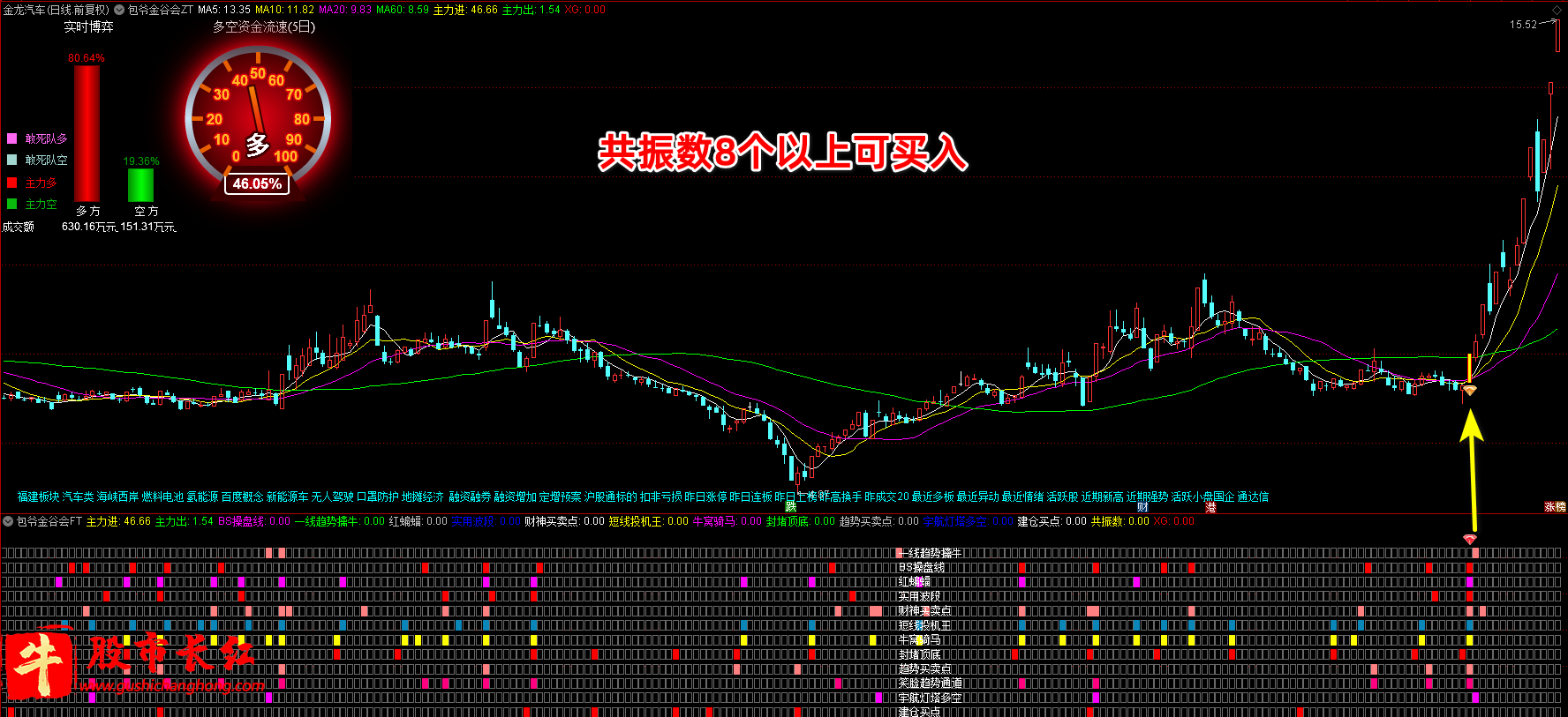 包爷金谷会指标