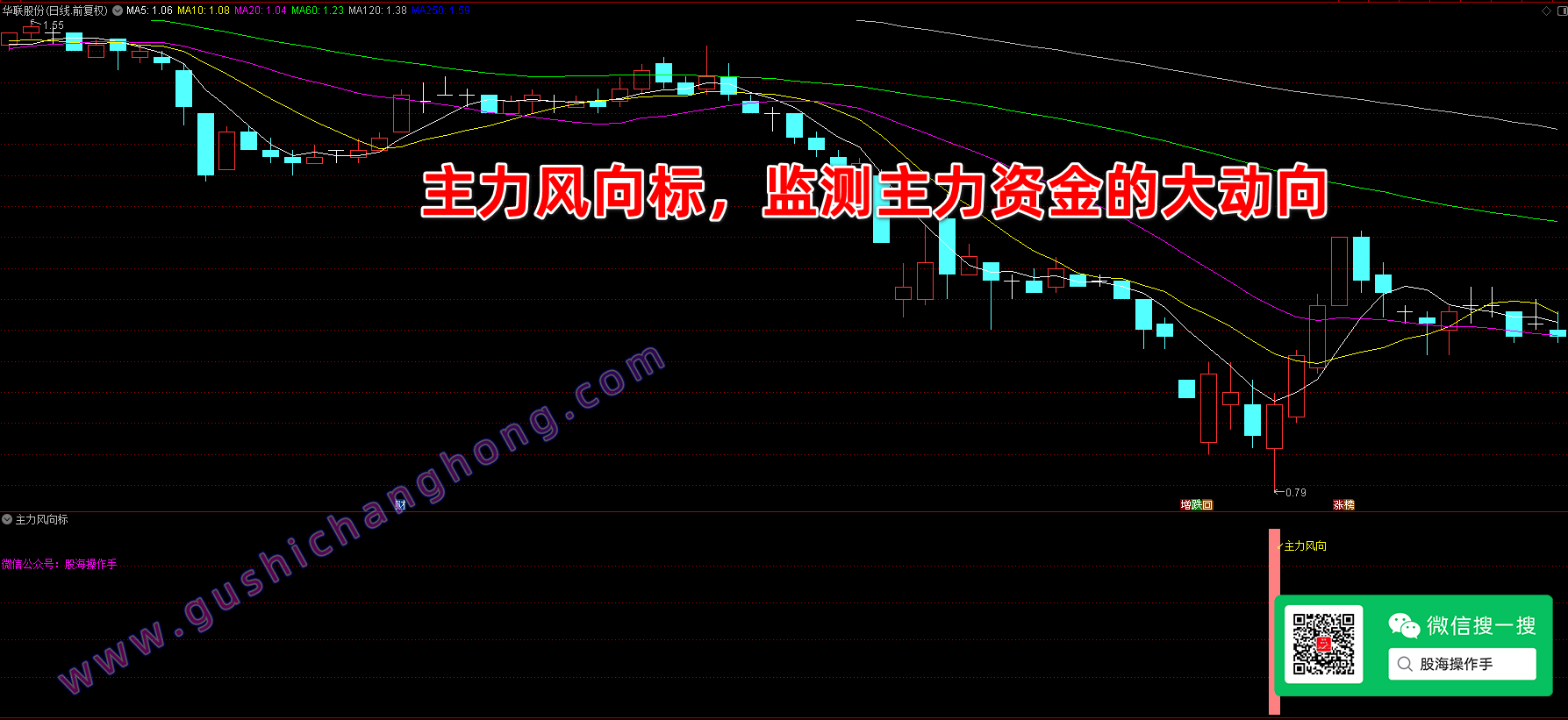 主力风向标指标