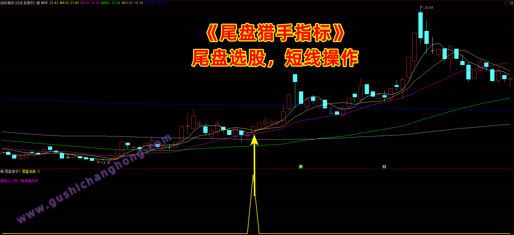 尾盘猎手指标