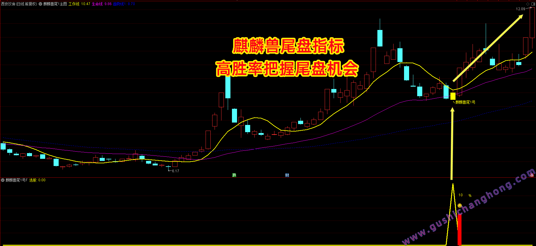 麒麟兽尾1号指标