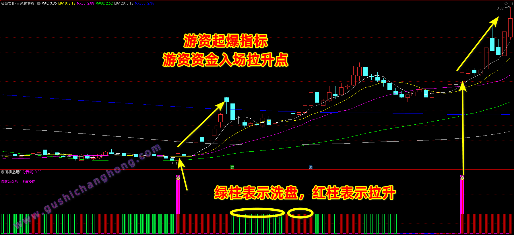 游资起爆指标