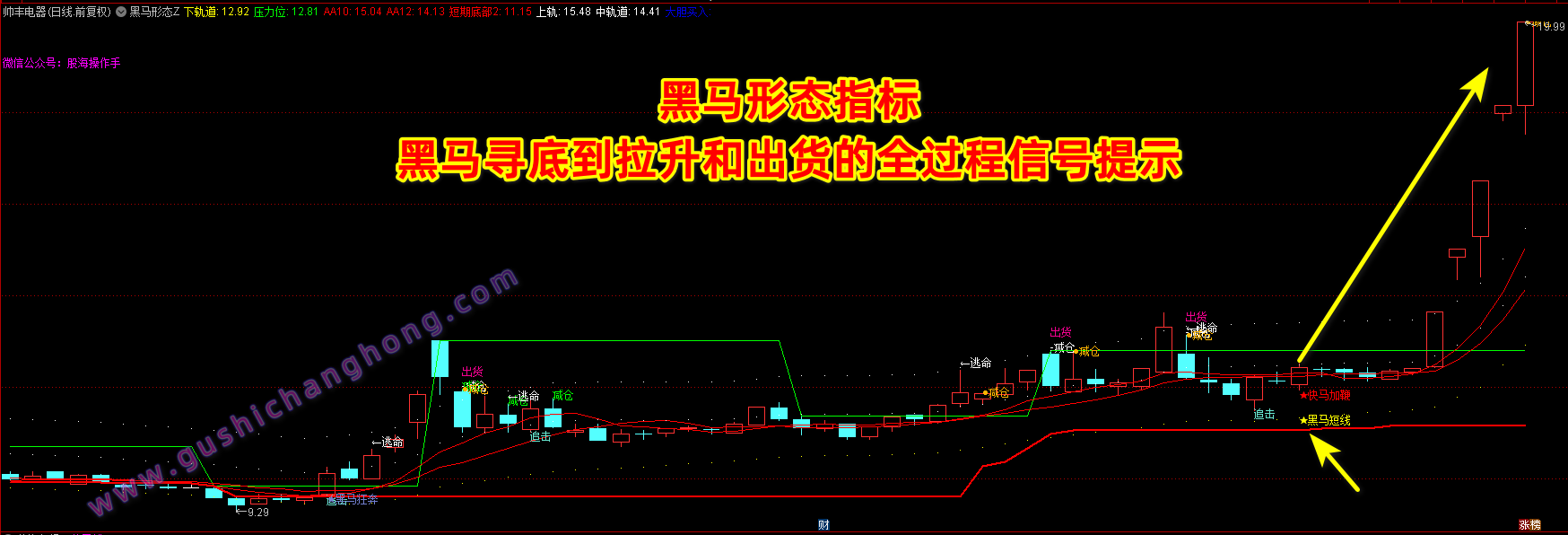 黑马形态指标