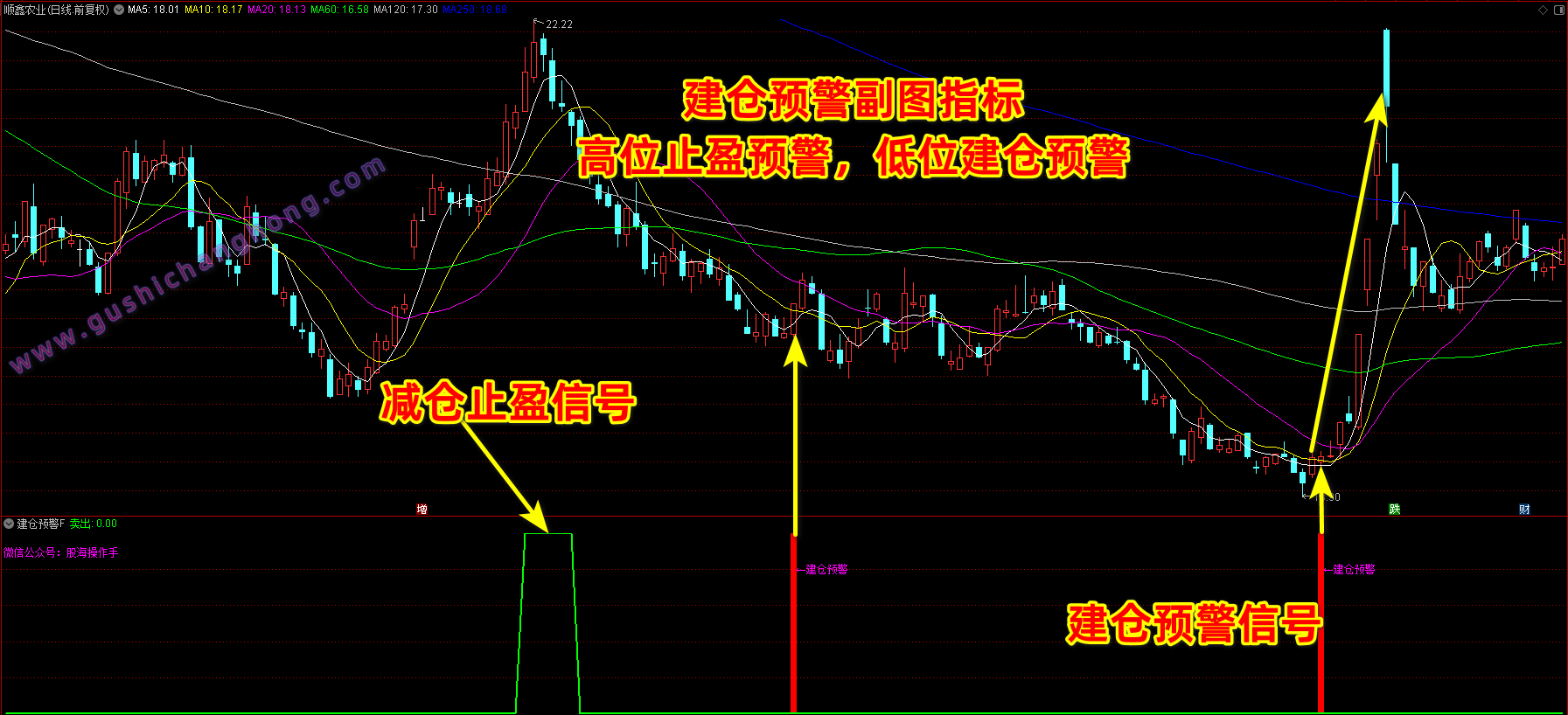 建仓预警指标