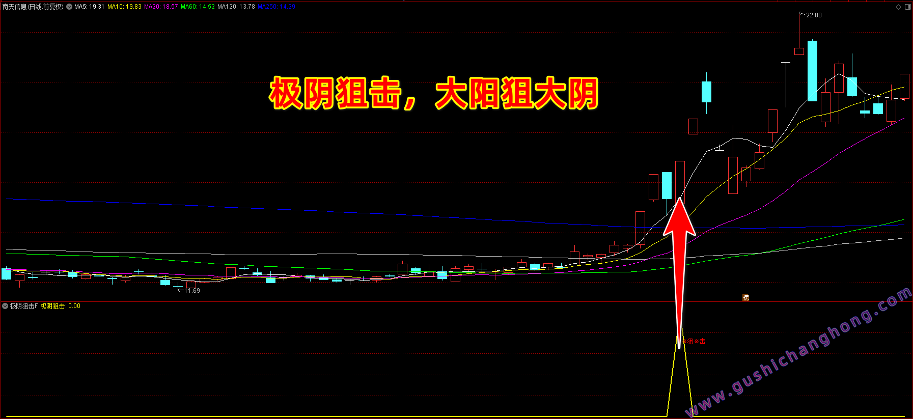 极阴狙击指标