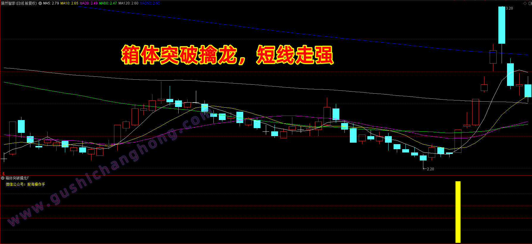 箱体突破擒龙指标