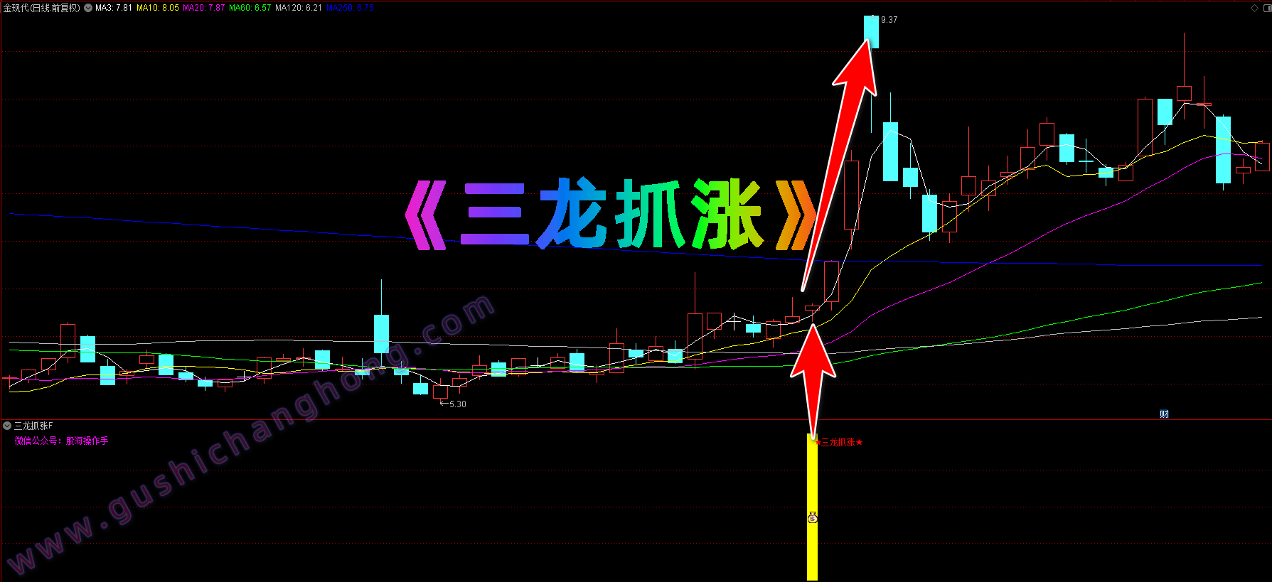 三龙抓涨指标