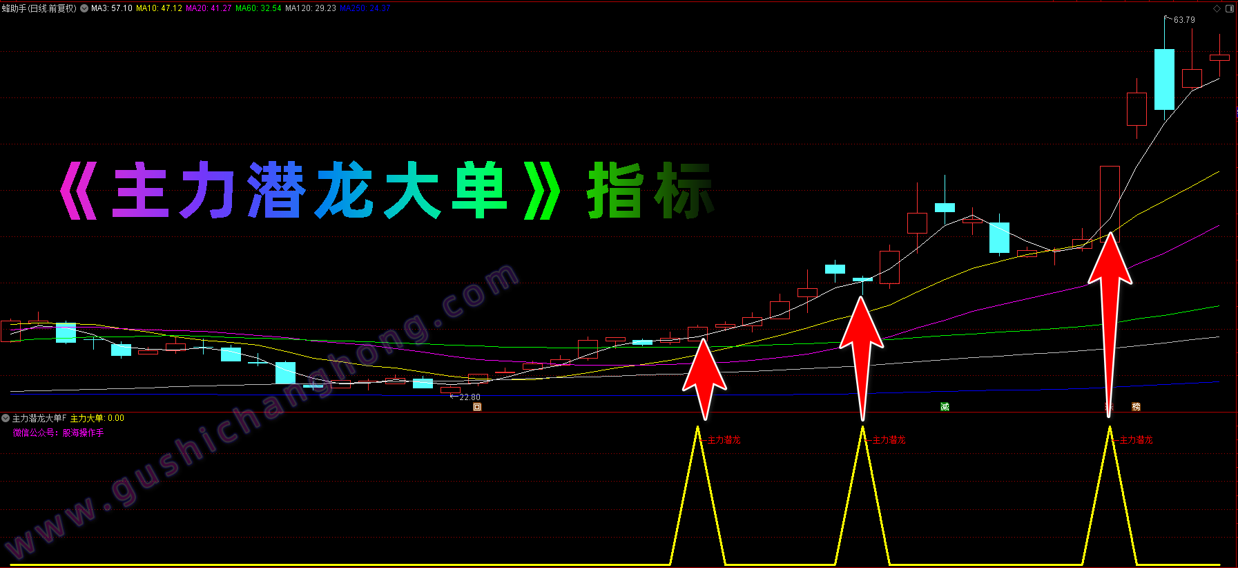 主力潜龙大单指标