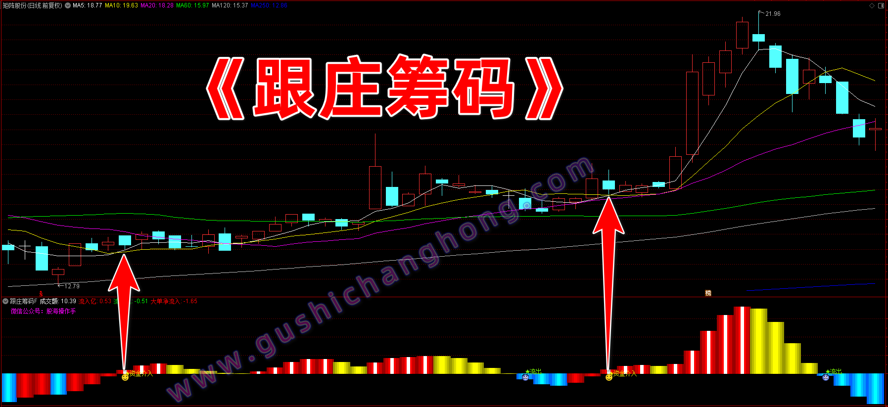 跟庄筹码指标