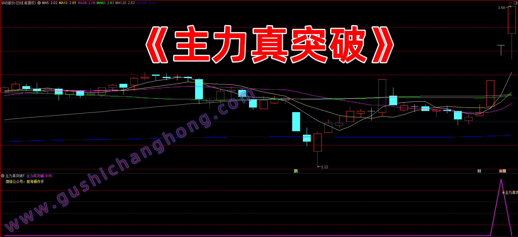 主力真突破指标