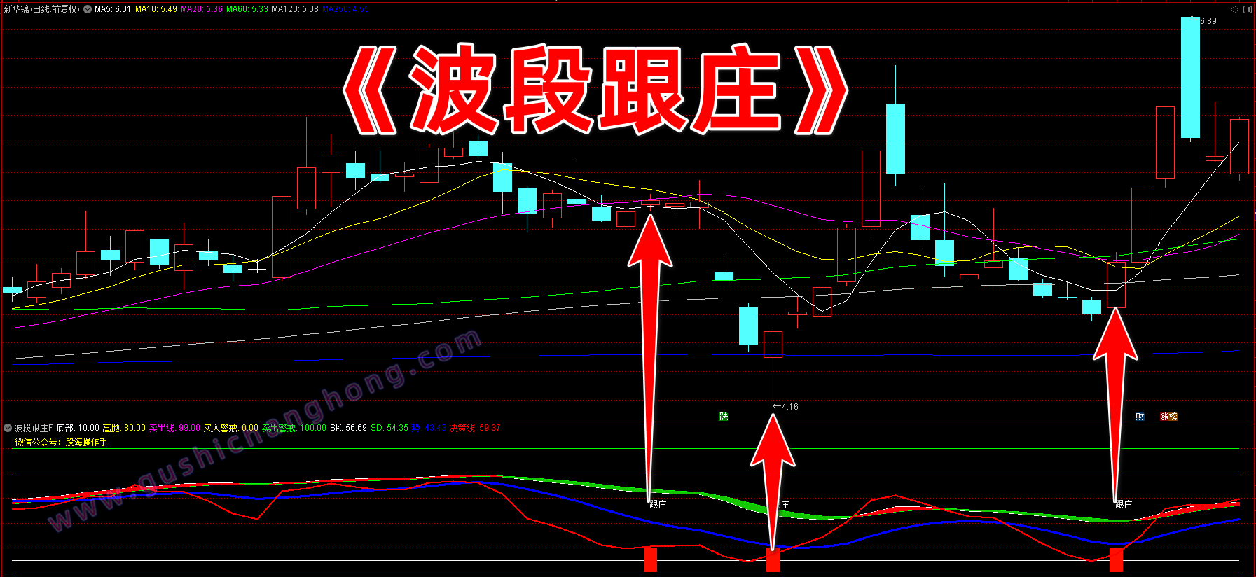 波段跟庄指标