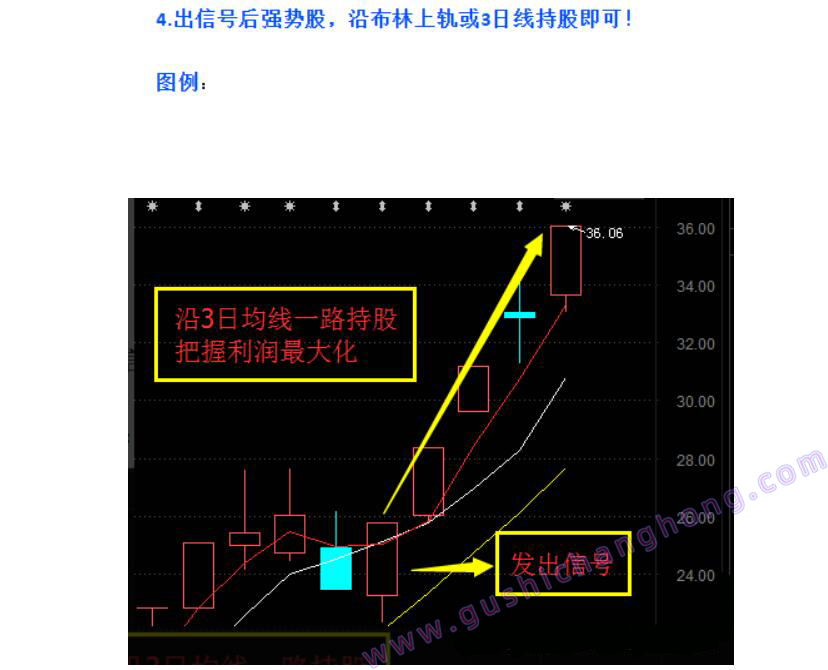 云飞最强音指标