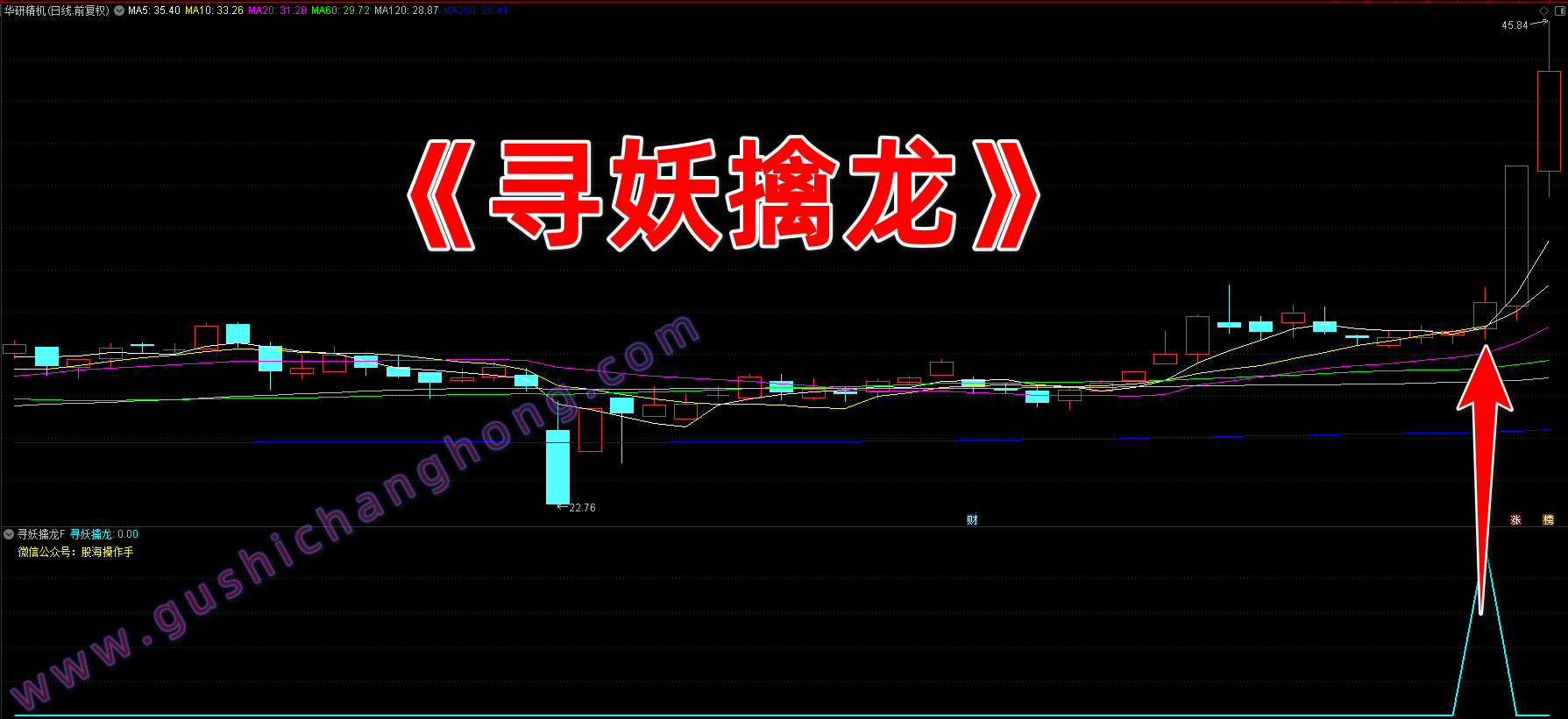 寻妖擒龙指标