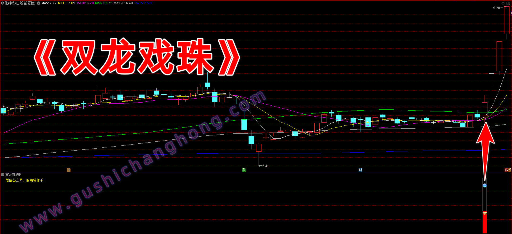 双龙戏珠指标