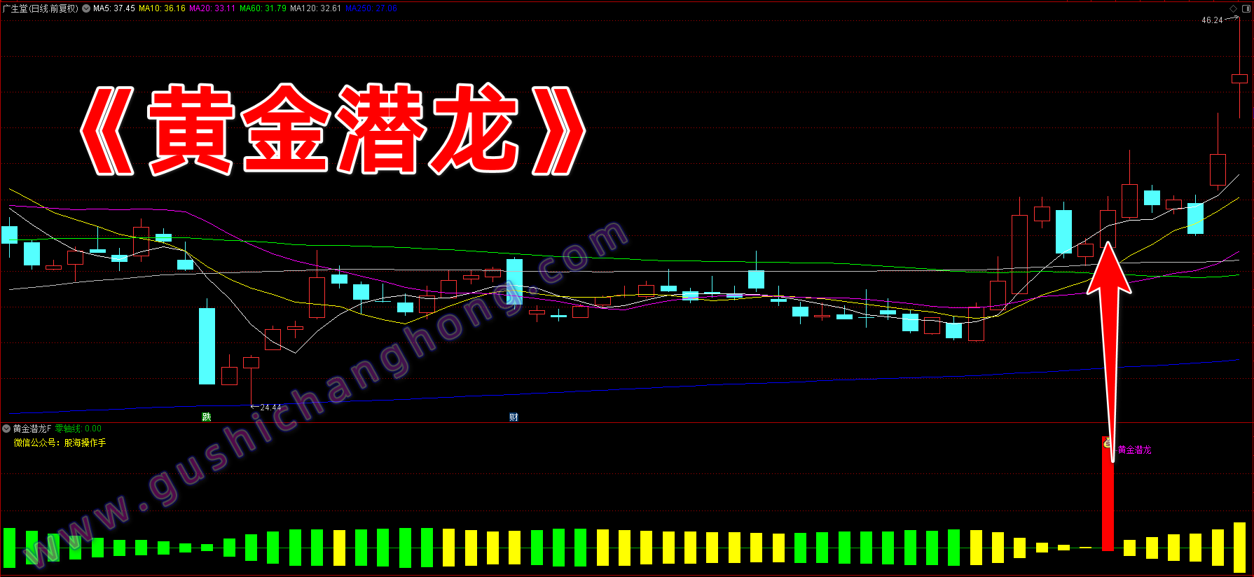 黄金潜龙指标