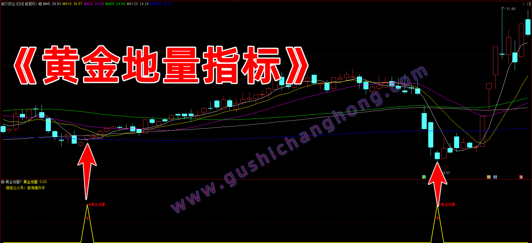 黄金地量指标