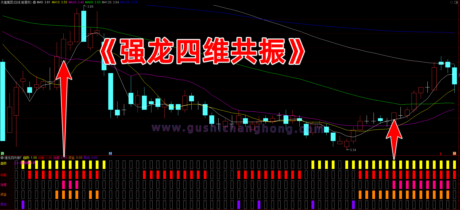强龙四维共振指标