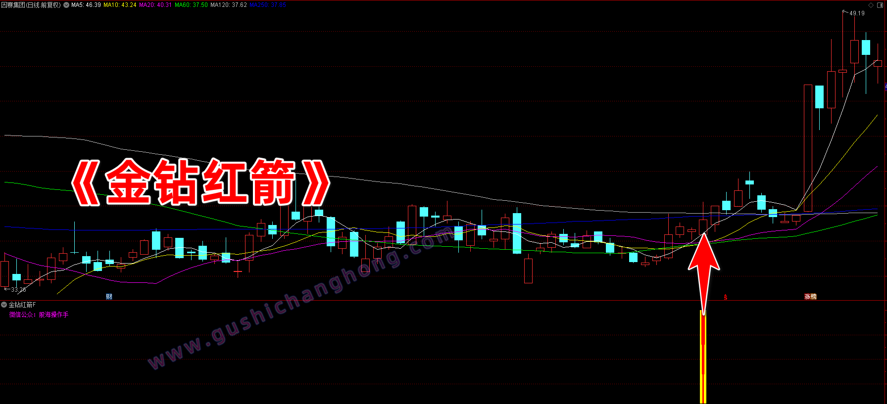 金钻红箭指标