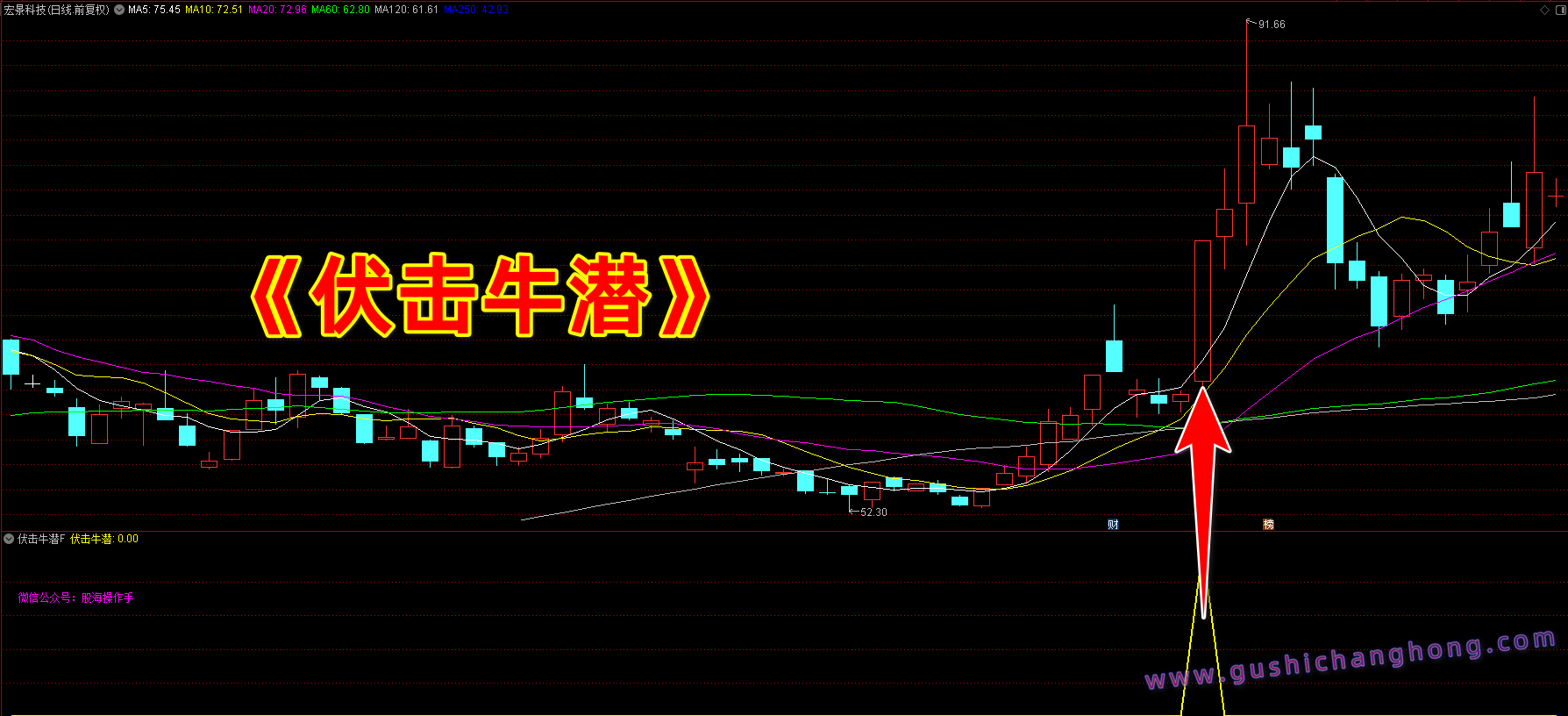 伏击牛潜指标
