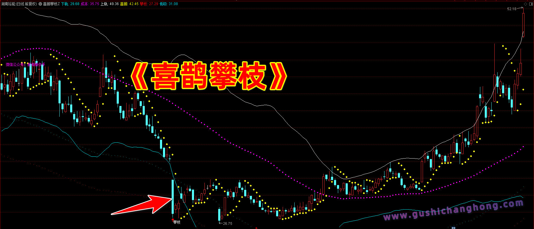喜鹊攀枝指标