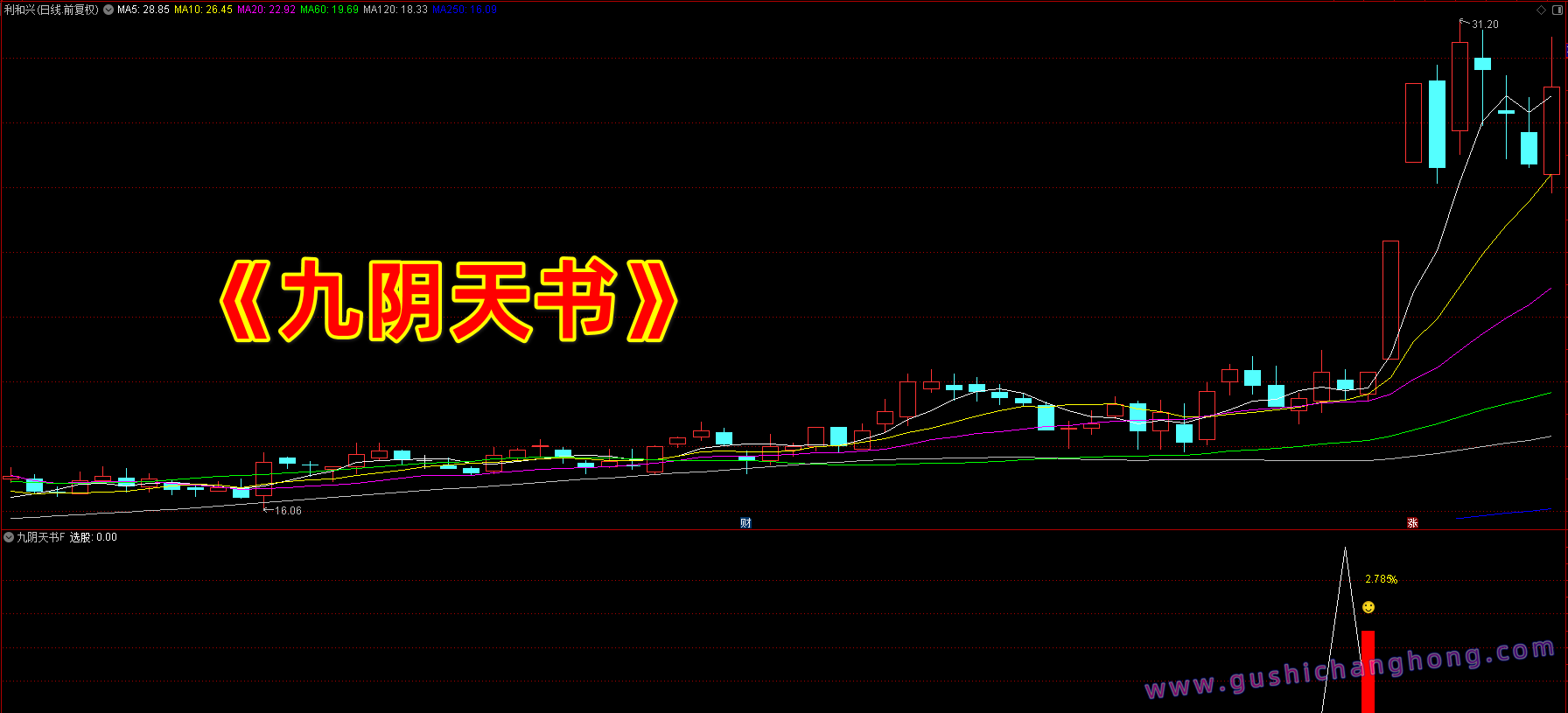 九阴天书指标