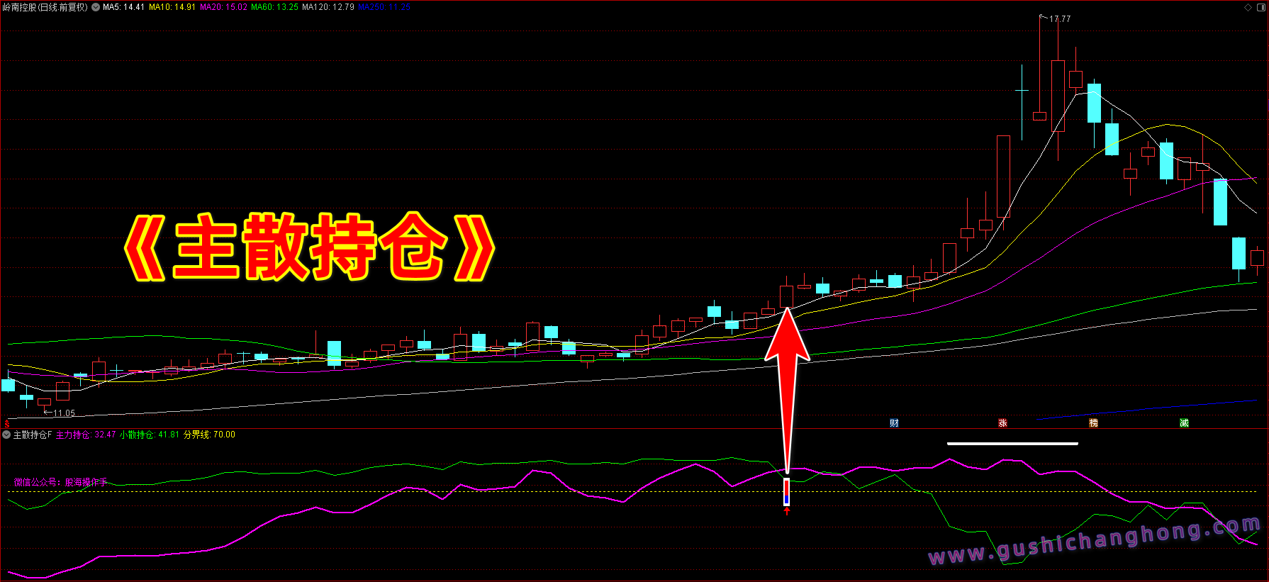 主散持仓指标