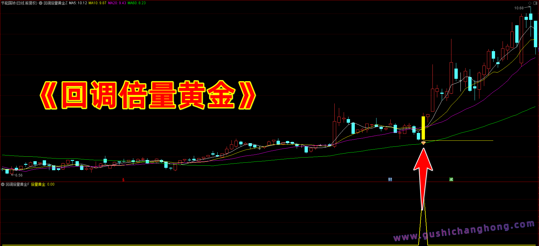 回调倍量黄金指标