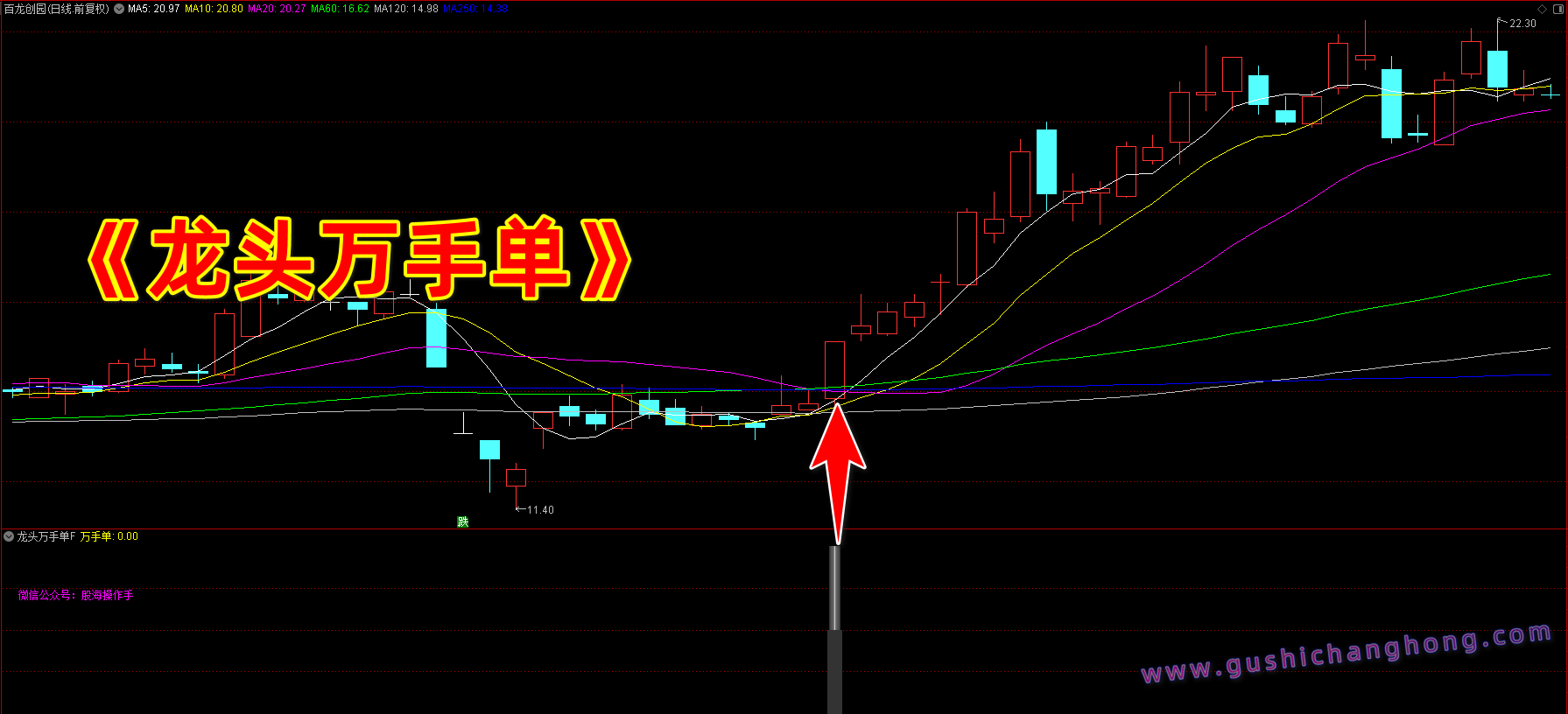 龙头万手单指标 龙头万手单指标