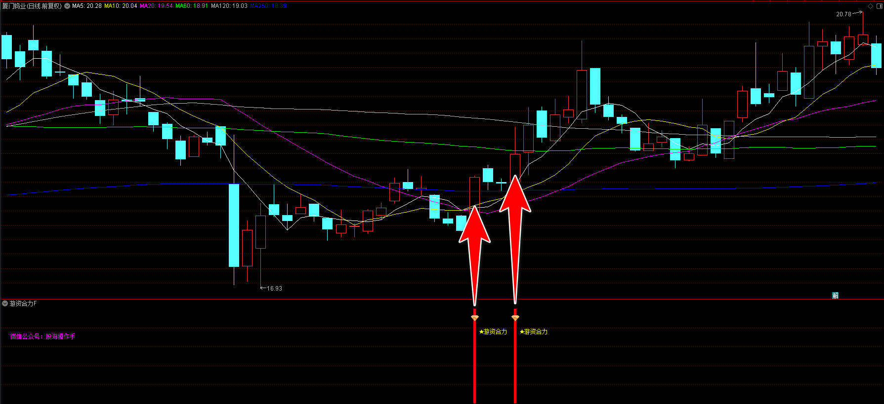 游资合力指标 游资合力指标