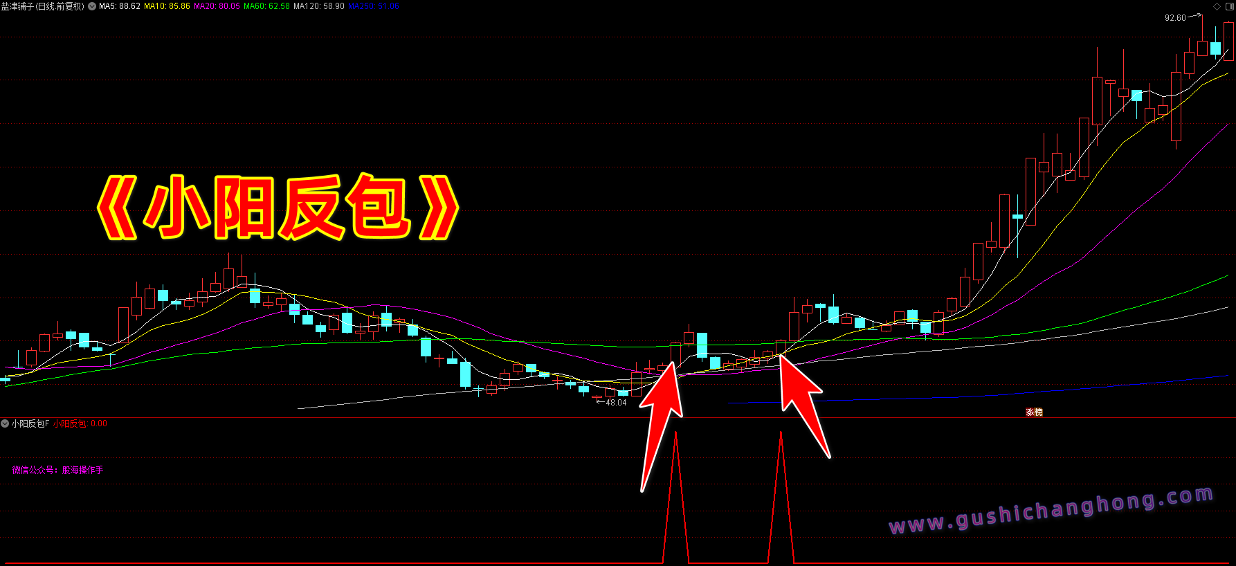 小阳反包指标 小阳反包指标