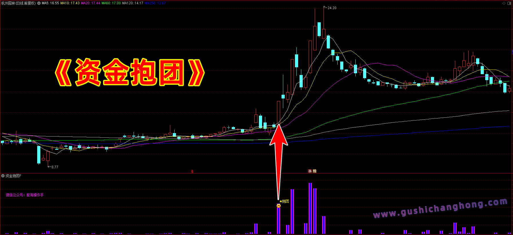 资金抱团指标 资金抱团指标