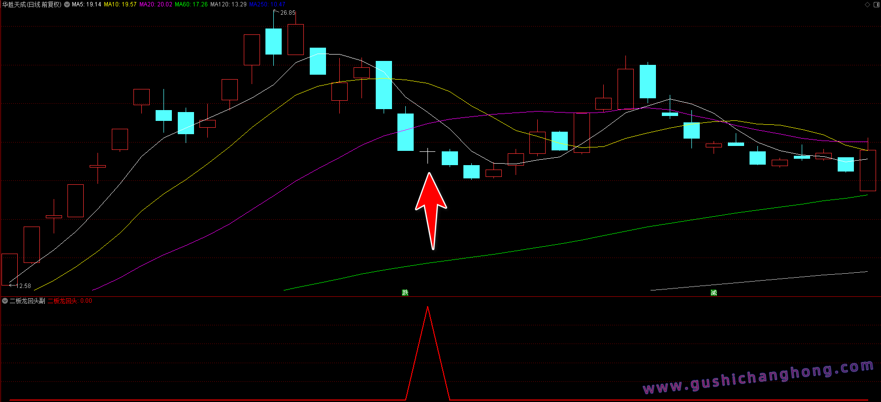 二板龙回头指标