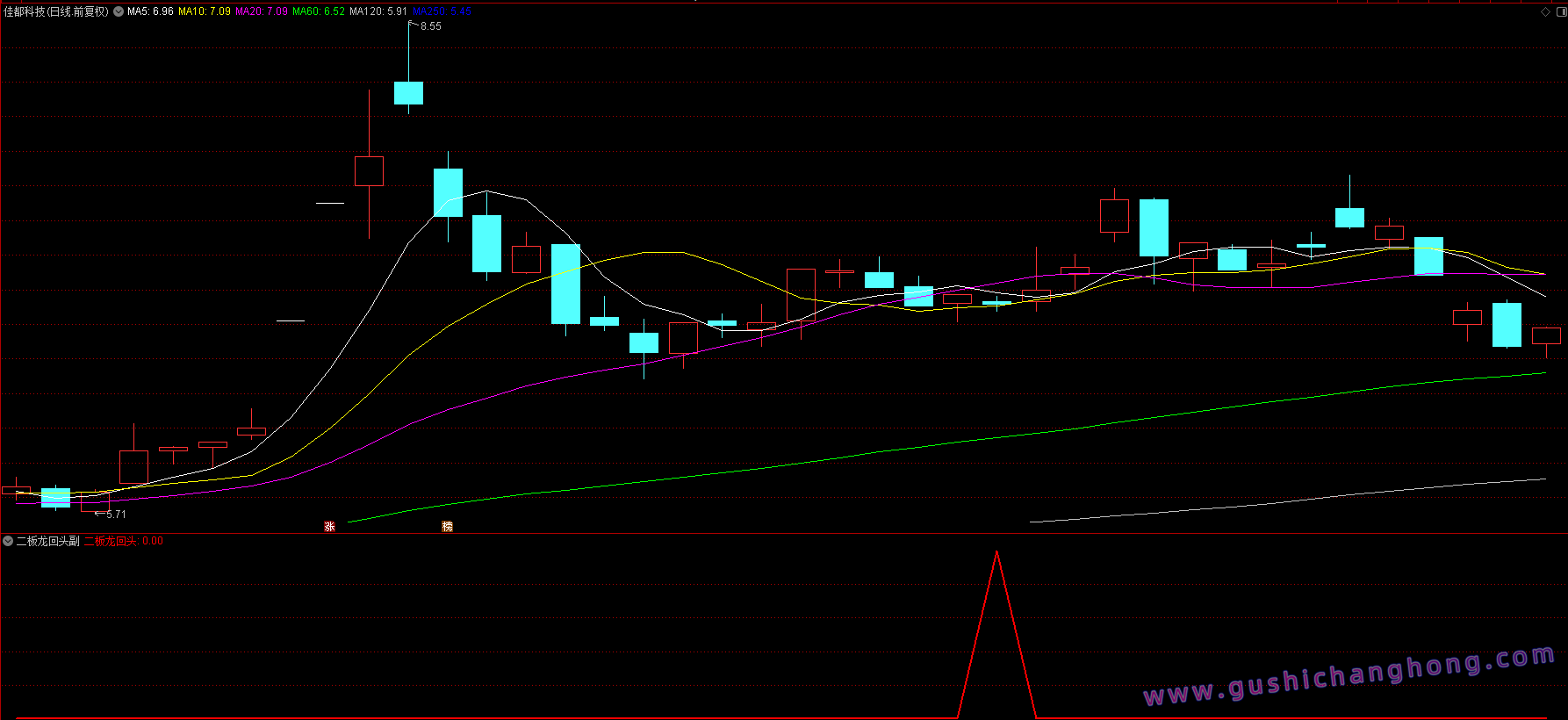 二板龙回头指标