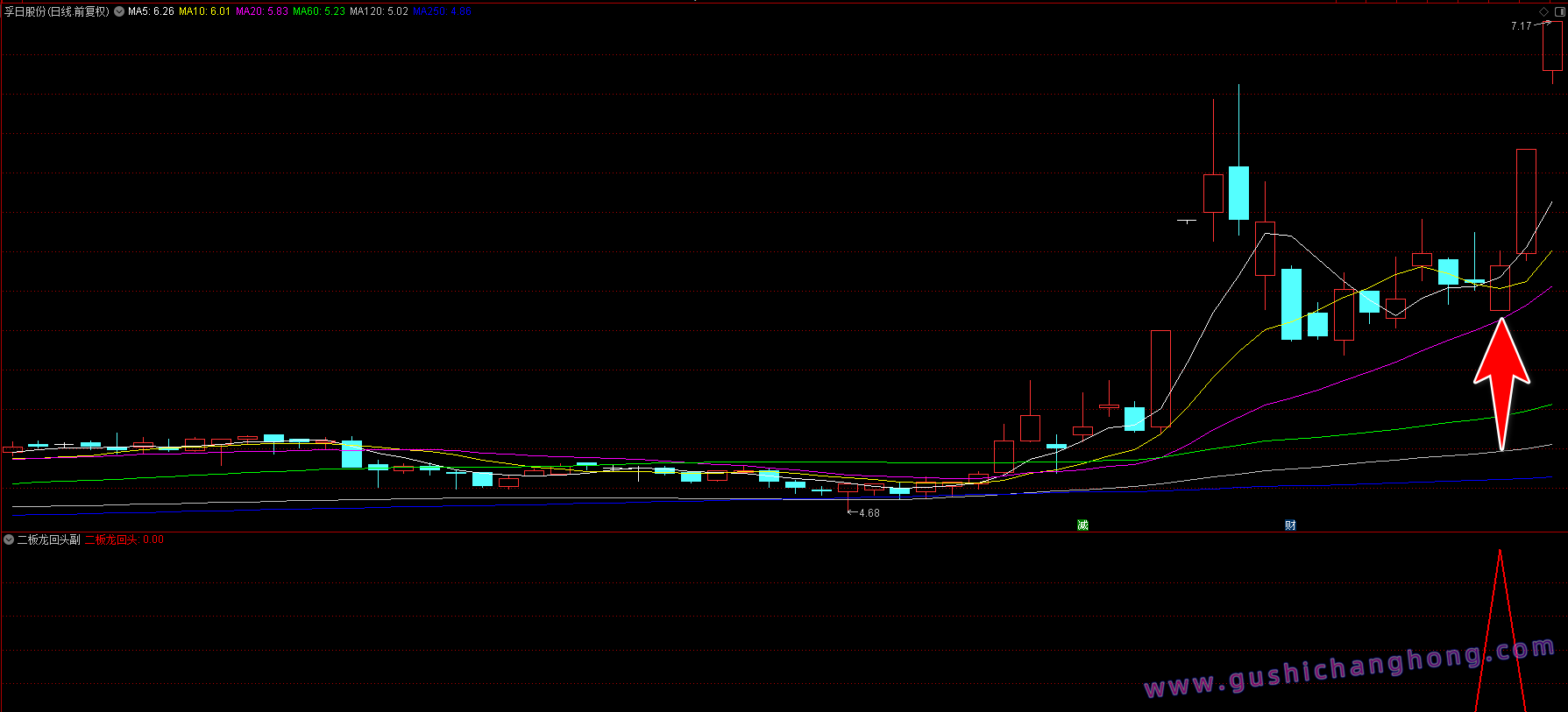 二板龙回头指标