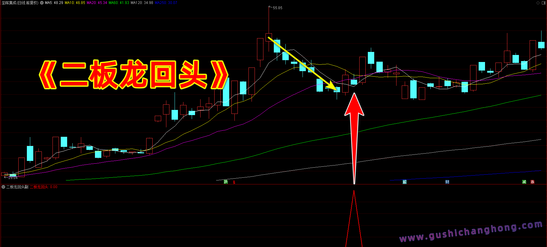 二板龙回头指标