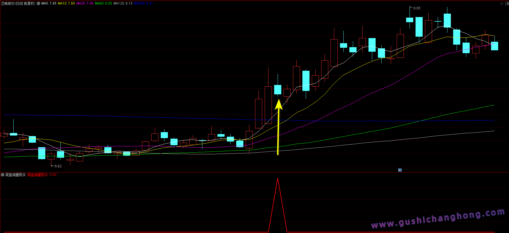 尾盘缩量阴买指标