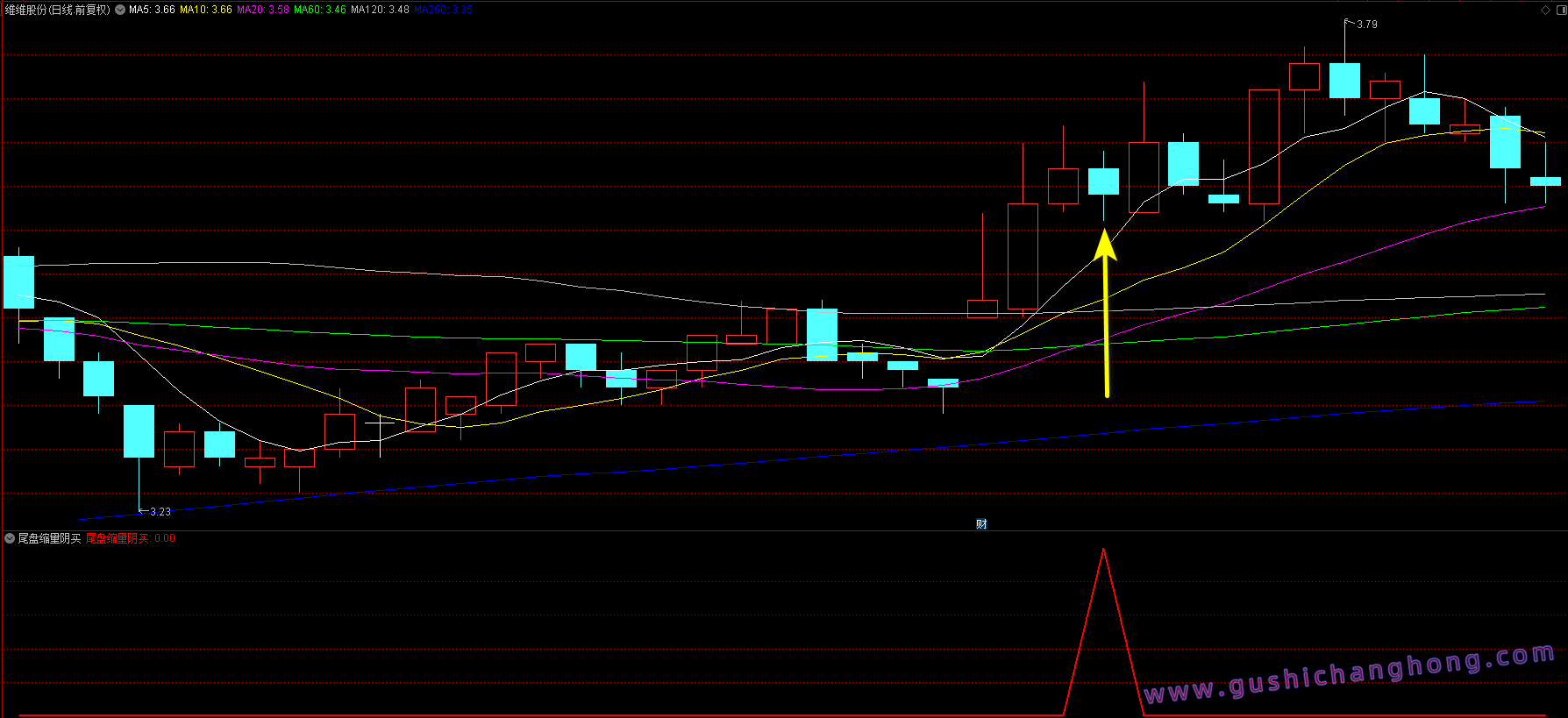 尾盘缩量阴买指标