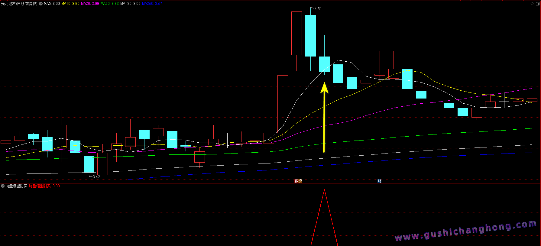 尾盘缩量阴买指标