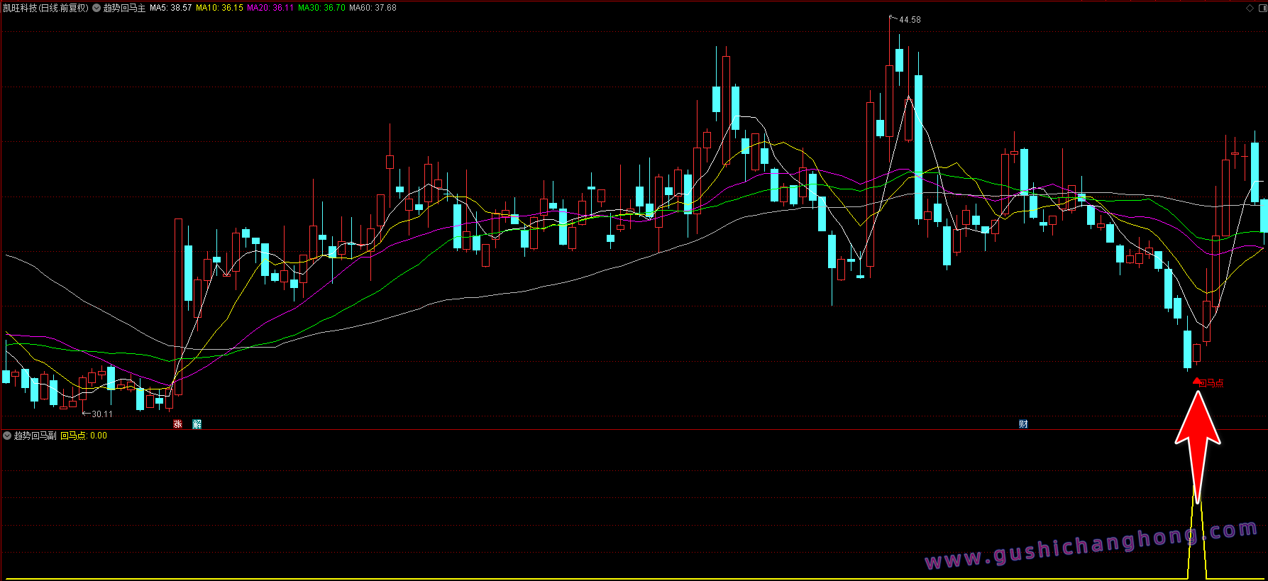 趋势回马指标 趋势回马指标