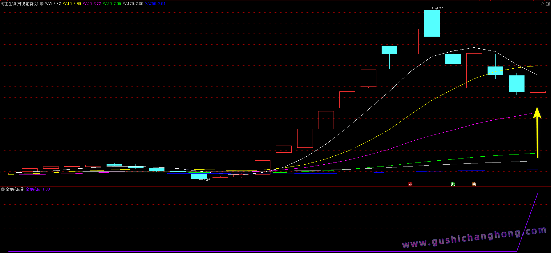 金龙轮回指标 金龙轮回指标