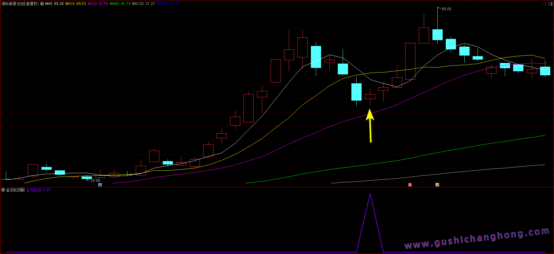 金龙轮回指标 金龙轮回指标