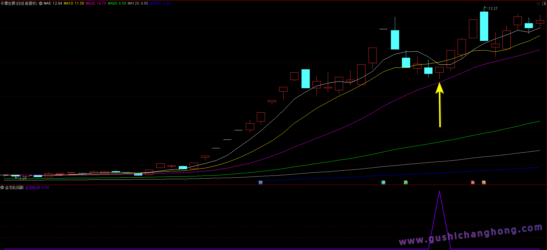 金龙轮回指标 金龙轮回指标