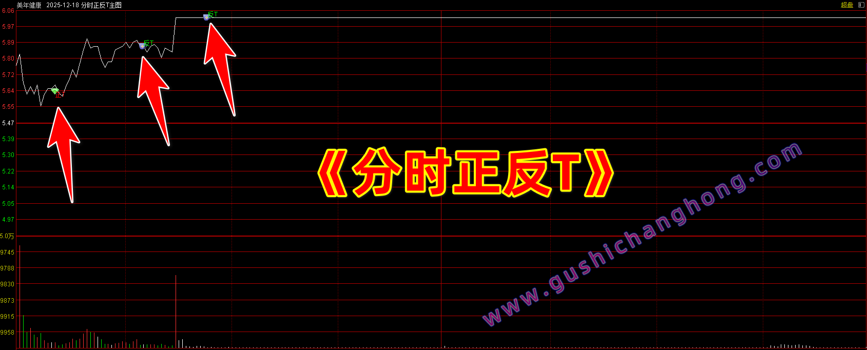 分时正反T指标