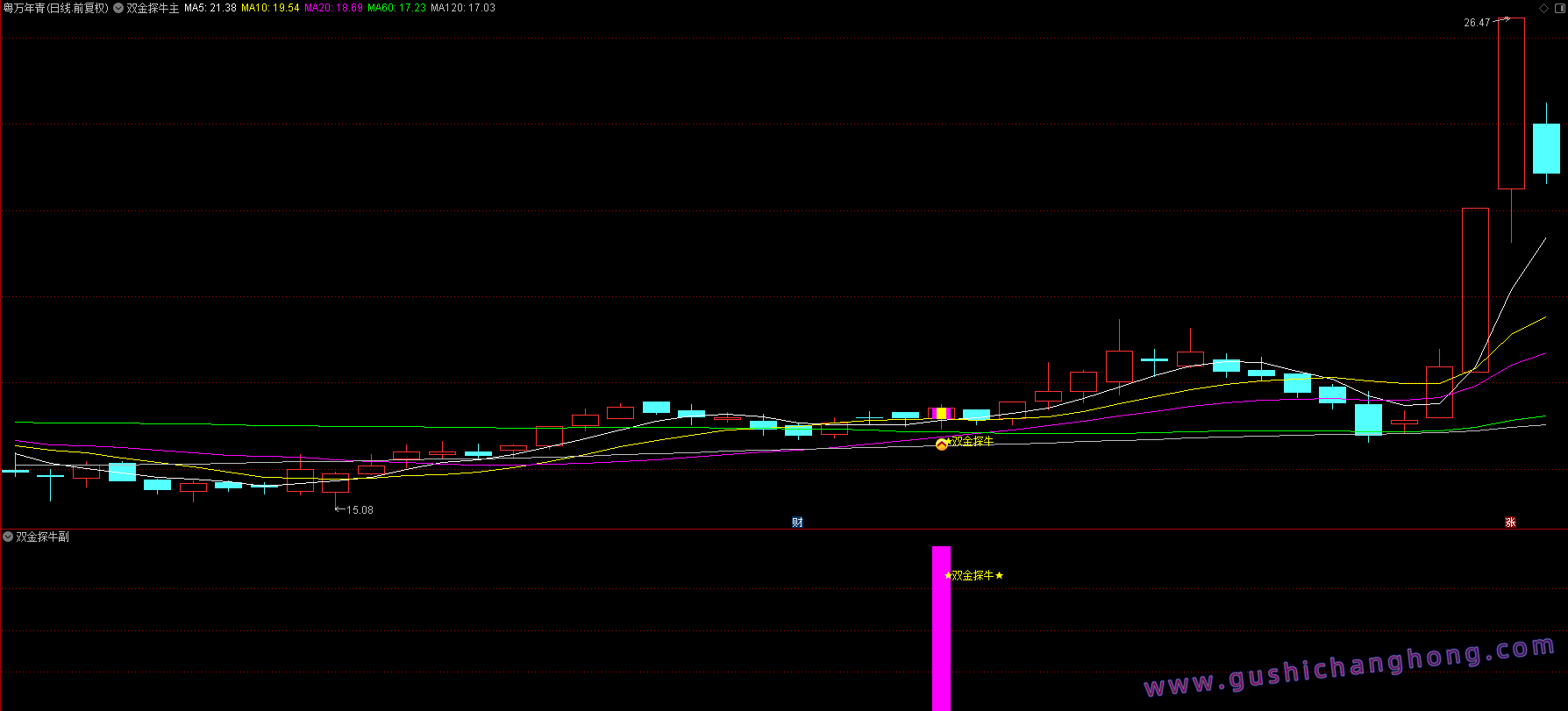 双金探牛指标