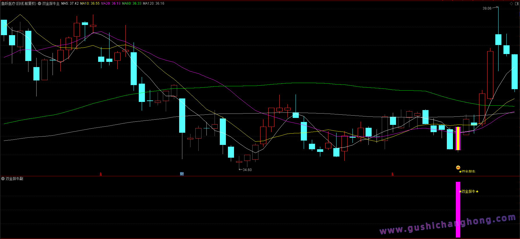 双金探牛指标