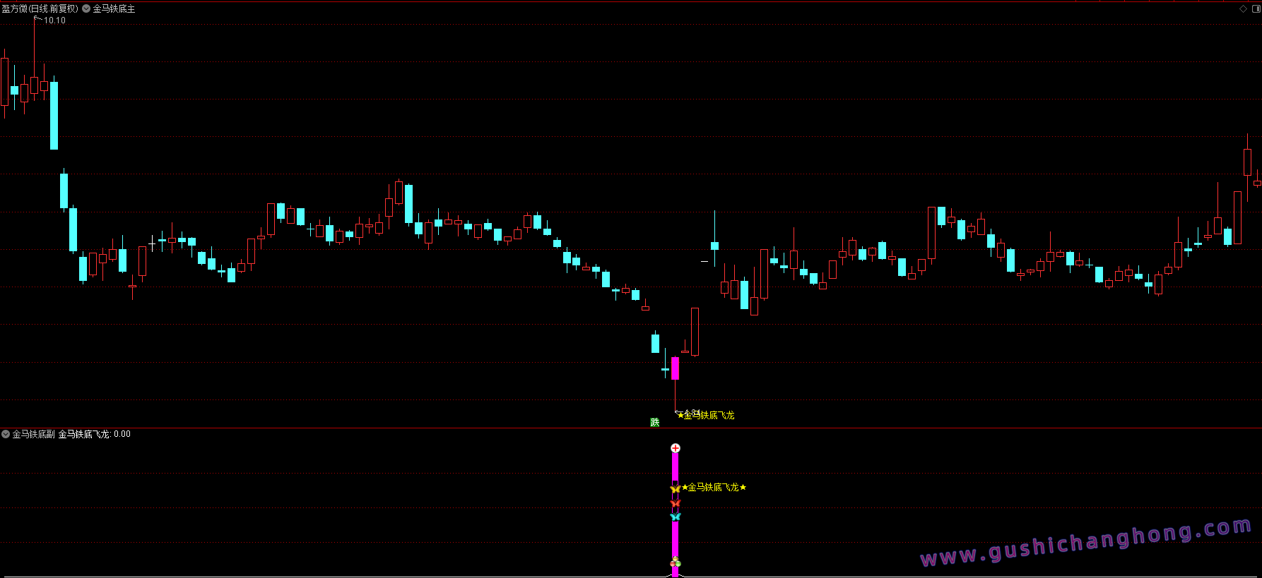 金马铁底飞龙指标