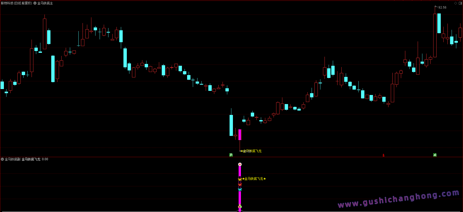 金马铁底飞龙指标