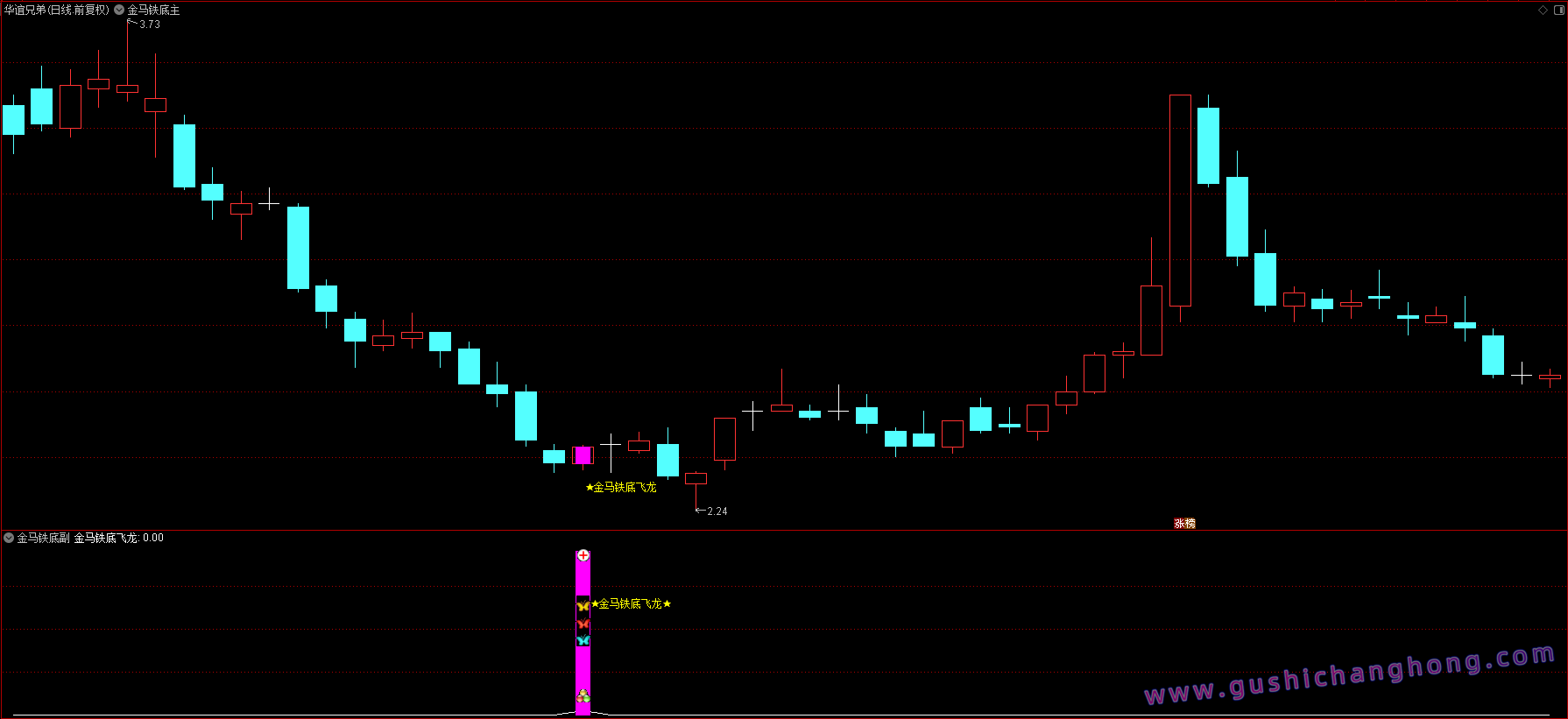 金马铁底飞龙指标